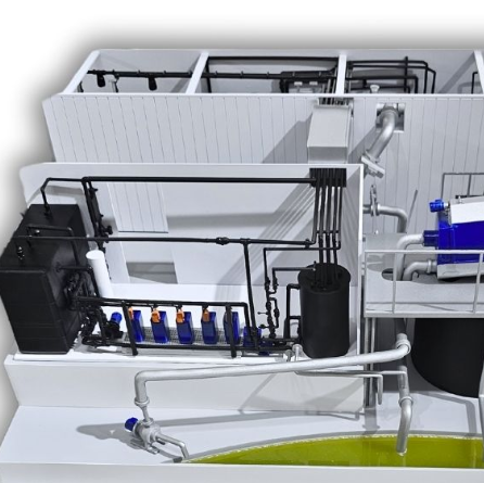An exhibition model designed specifically for NextGen Education by ARI Model, featuring lighting, animation, and architectural detail. With over two decades of expertise in exhibition model-making, ARI Model brings educational and architectural visio